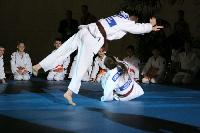 2015/150208_Budo-Gala_KCW/150208_03_judo_kc_wiesbaden_016.jpg