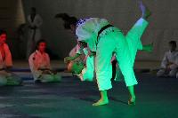 2015/150208_Budo-Gala_KCW/150208_03_judo_kc_wiesbaden_092.jpg