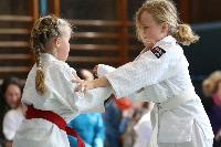 2015/150426_Randori_1_Maedchen/150426_Vereinsrandori_I_0089.JPG