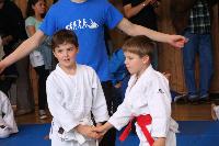 2015/150426_Randori_2_Jungen/150426-Jungen-206.JPG