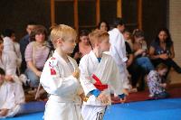 2015/150426_Randori_2_Jungen/150426-Jungen-211.JPG