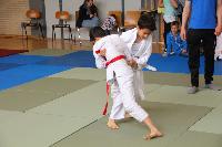 2015/150426_Randori_2_Jungen/150426-Jungen-220.JPG